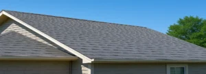 Roof Repair & Replacement Insights