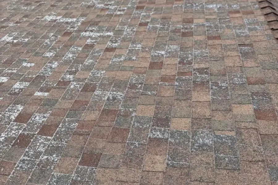 San Mateo County Roofing Project