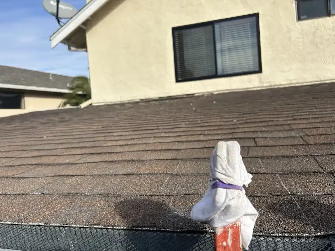 Worn brown shingles losing granules before re-roof at 1150 Silva Lane, Alameda