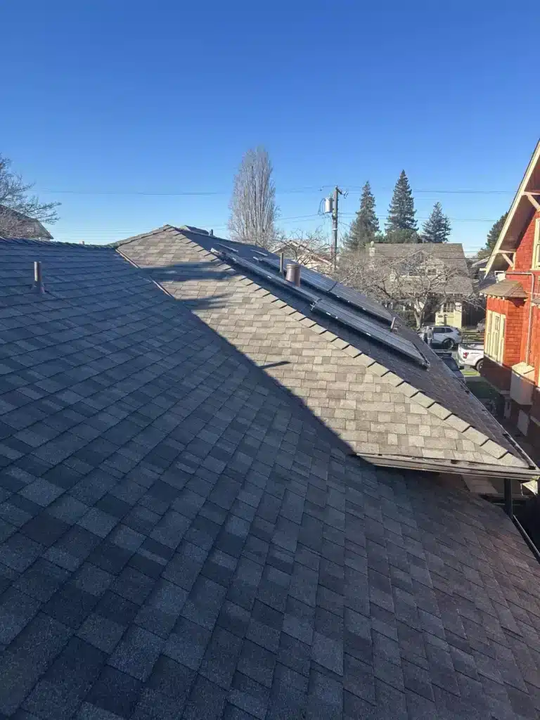 New architectural shingle roof after reroof at 6430 Colby Street, Oakland CA