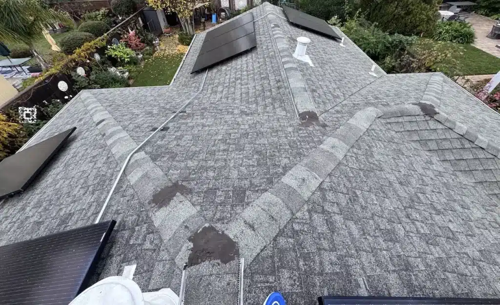 Worn 20-year-old shingle roof with granule loss before replacement in Corte Madera, CA
