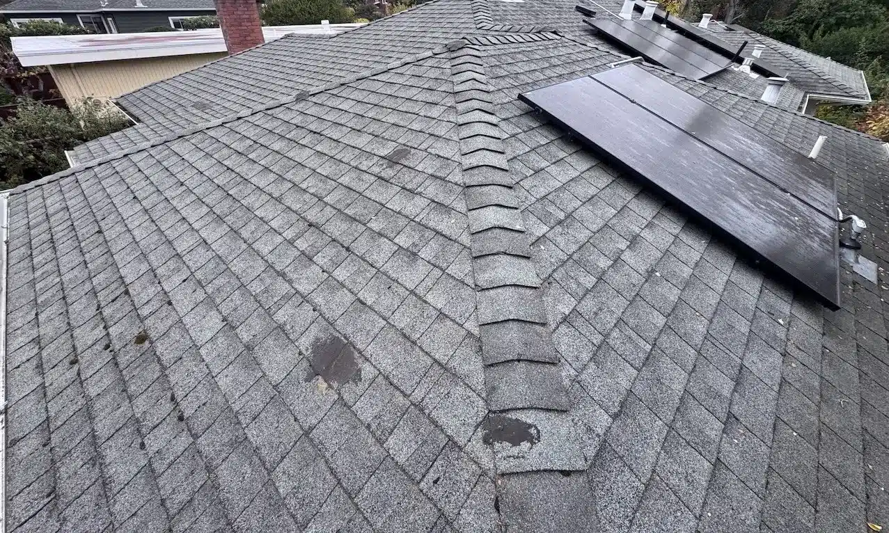 Aging gray shingles and patchy wear around the solar array before reroof in Corte Madera