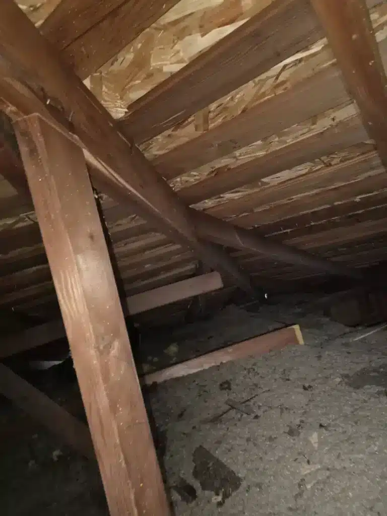 Attic view showing original spaced sheathing and aging roof framing before repair in Los Altos, CA