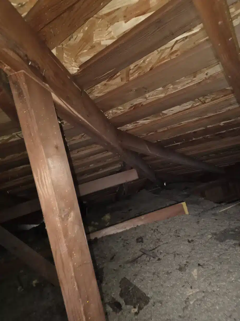 Attic view showing original spaced sheathing and aging roof framing in Los Altos, CA
