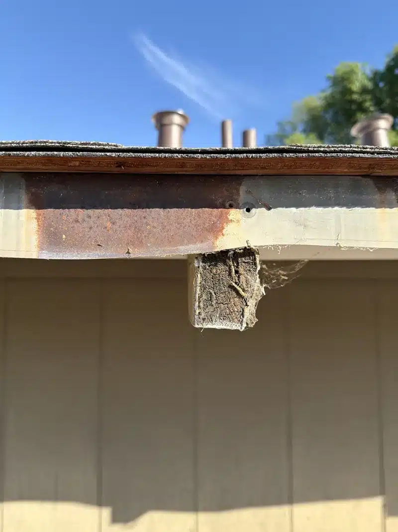 Rusted drip-edge flashing and rotted fascia board uncovered during tear-off on the San Jose roof replacement