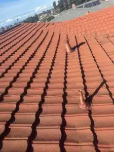 Repaired concrete tile roof with resealed vent penetrations after an urgent leak repair in Richmond, CA