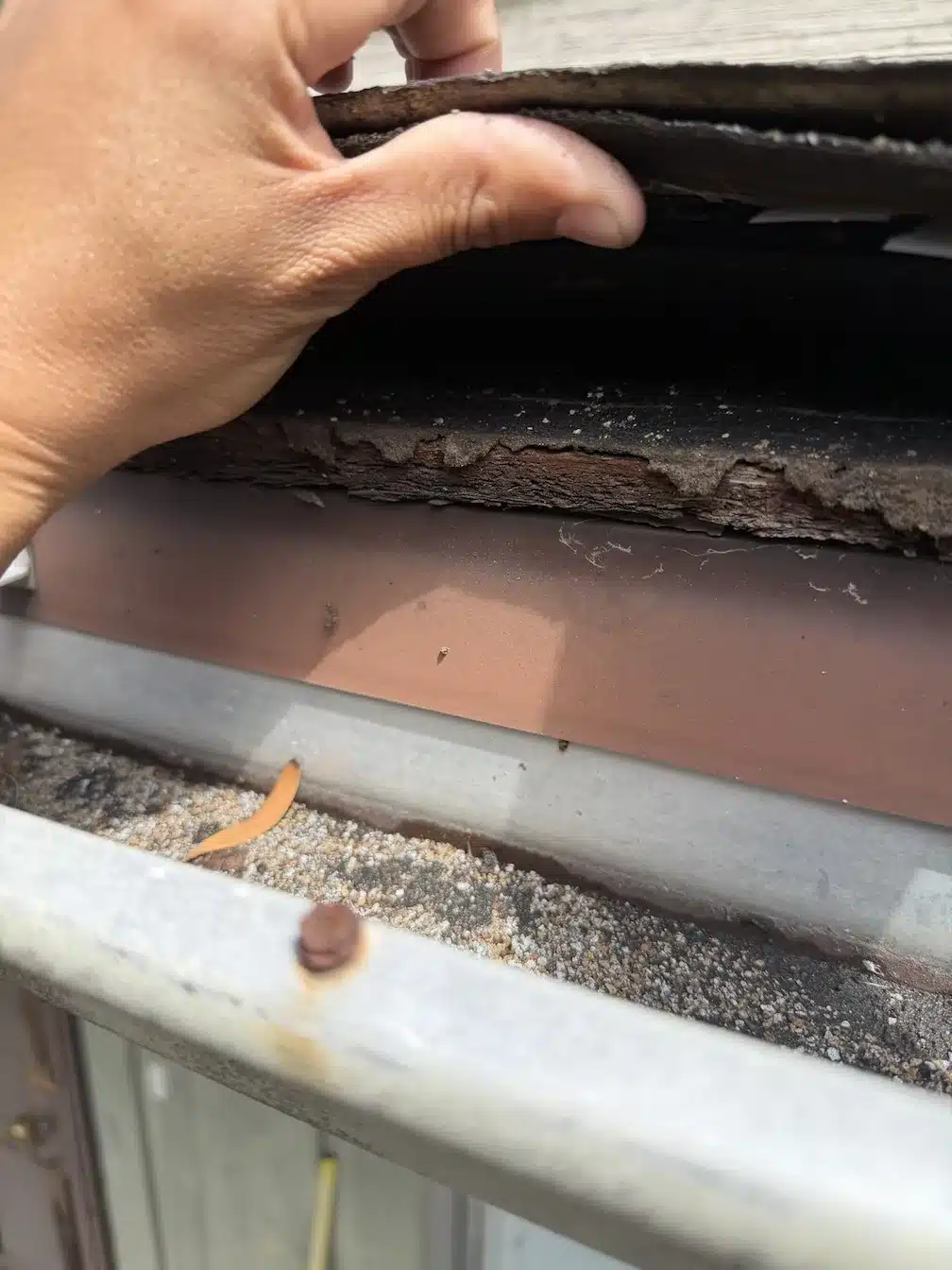 Roofer lifting an old shingle at the eave to show the worn edge and granule loss beneath