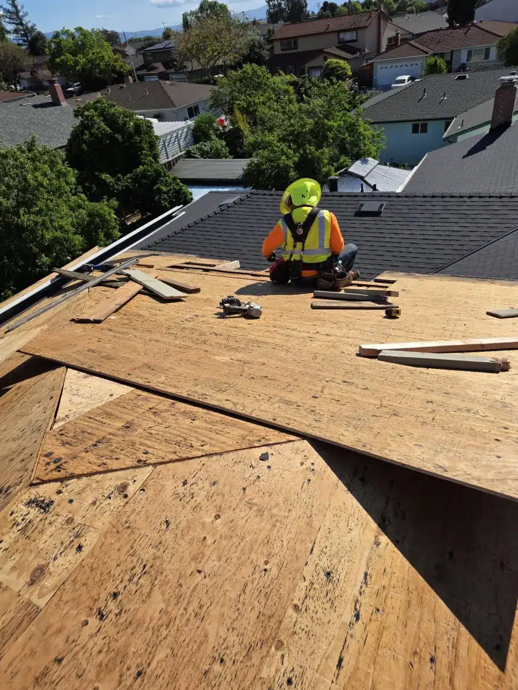 Roofer in fall-protection harness installing new plywood roof decking in Milpitas, CA