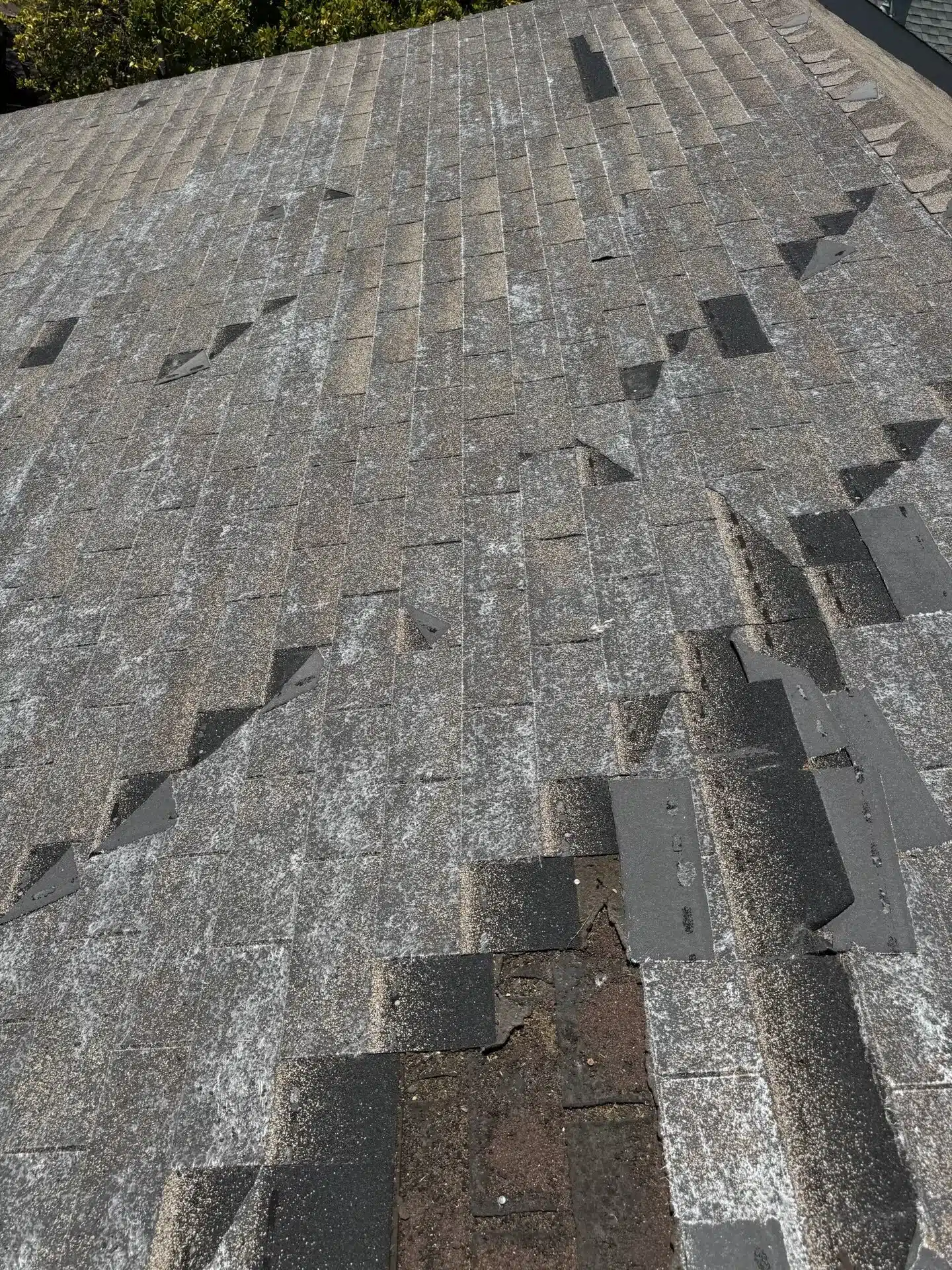 Wind-damaged asphalt shingle roof on a San Jose home with multiple shingle tabs torn away, exposing dark underlayment