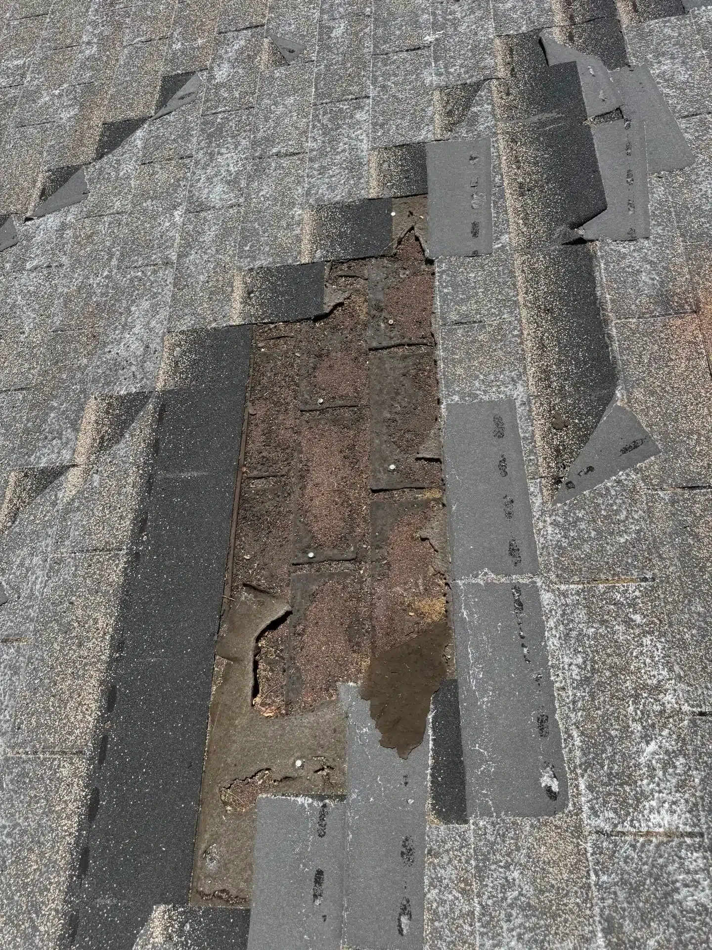 Failed asphalt shingle roof section with missing shingles and water-stained underlayment exposed to weather