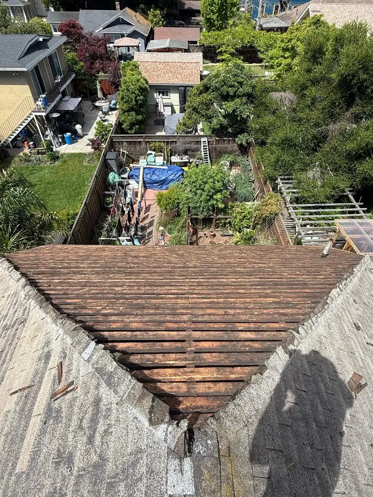 The original roof still in place on one slope beside freshly laid plywood decking at 1117 Union Street, Alameda CA