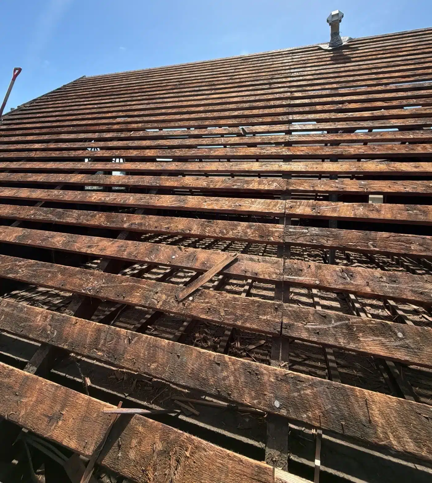Original spaced plank sheathing exposed after tear-off on a Victorian roof at 1117 Union Street, Alameda CA