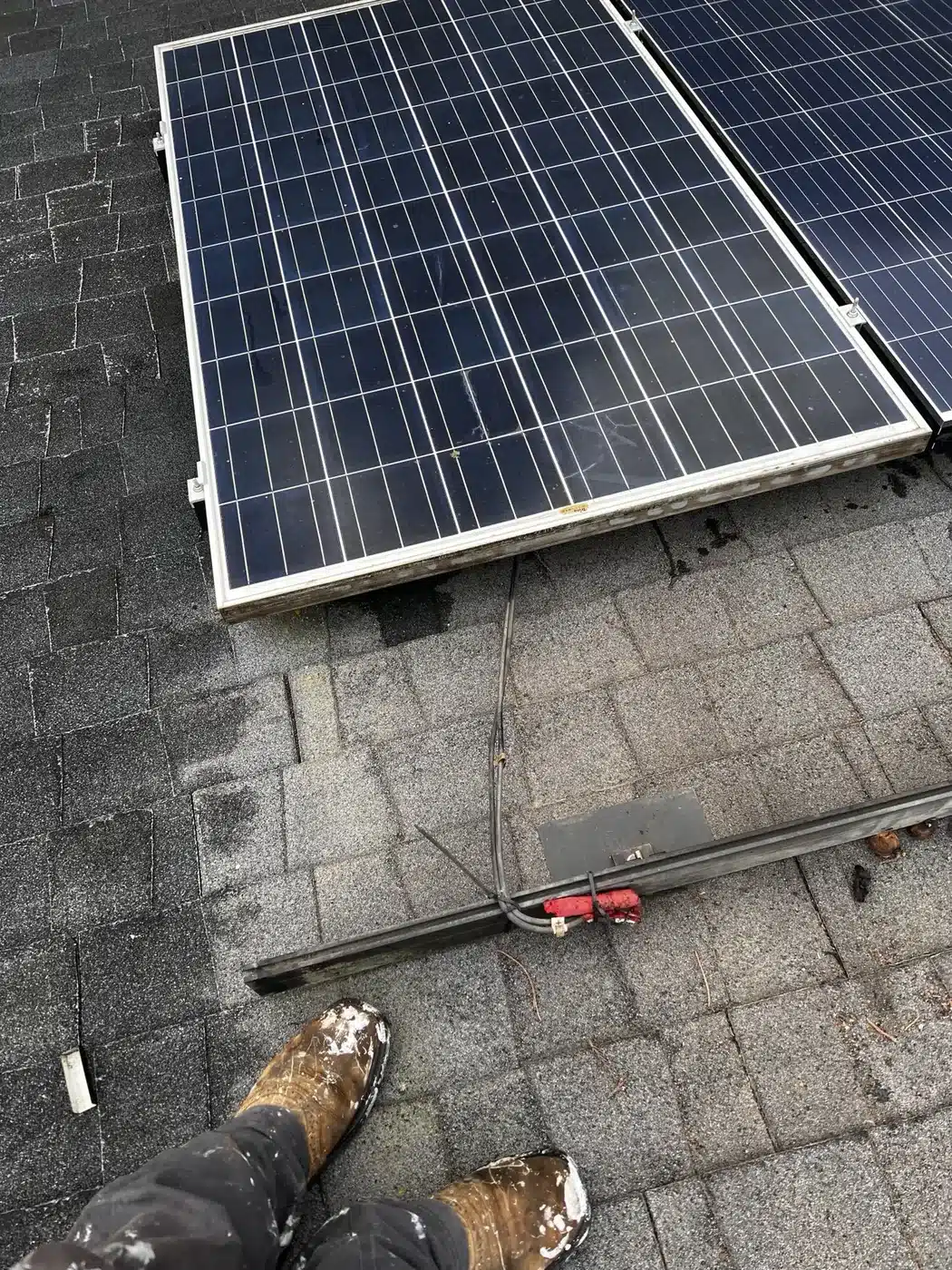 Solar panels mounted on the worn asphalt shingle roof before the Castro Valley roof replacement