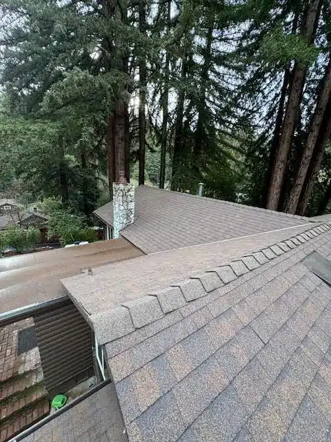 Completed shingle roof among redwoods in Boulder Creek