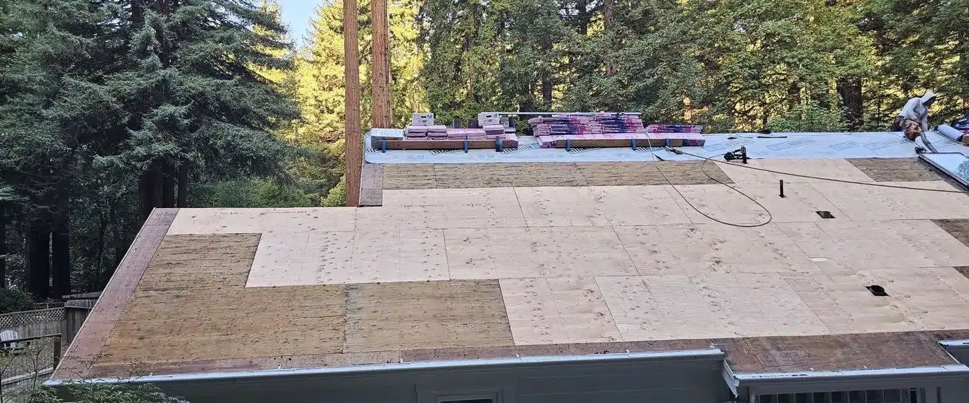 New CDX plywood decking installed on a Felton roof beneath redwood trees