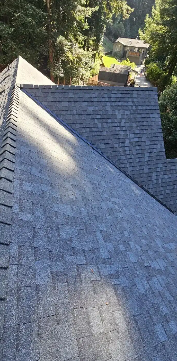 New light gray architectural shingle roof ridge under the redwood canopy in Felton, CA