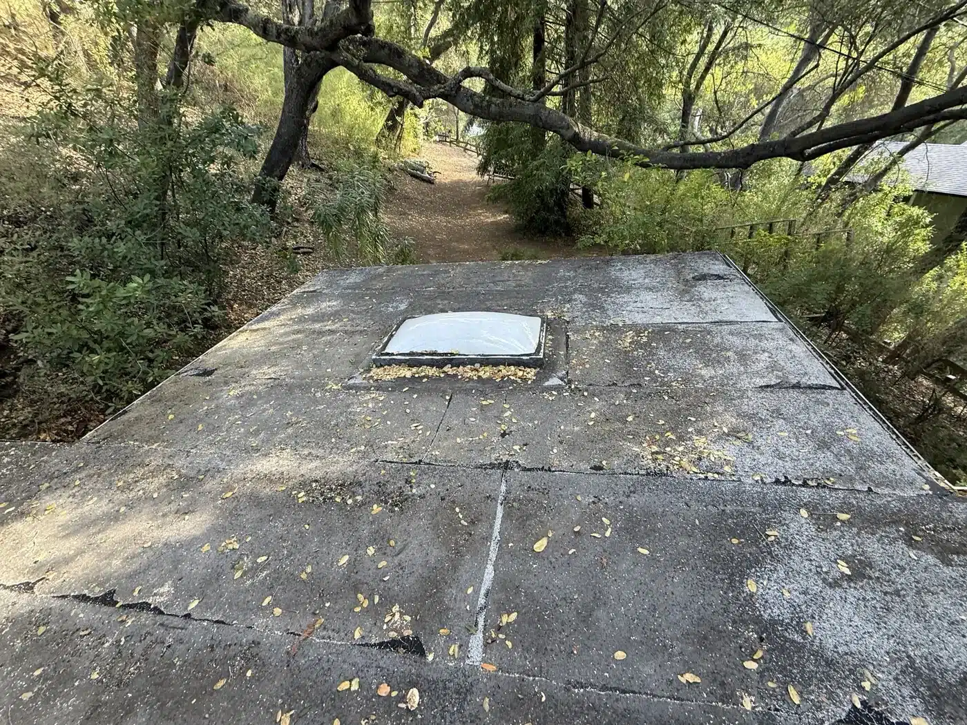 Worn granulated cap sheet flat roof with an old skylight under oak trees in Los Gatos, CA