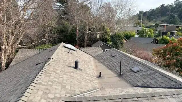 Finished architectural shingle roof on the Mill Valley house and its detached backyard studio after replacement
