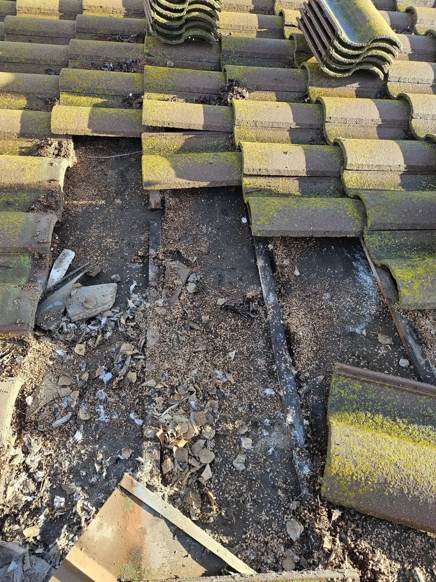 Concrete tile lifted and stacked on a Morgan Hill roof, exposing failed underlayment and bare deck