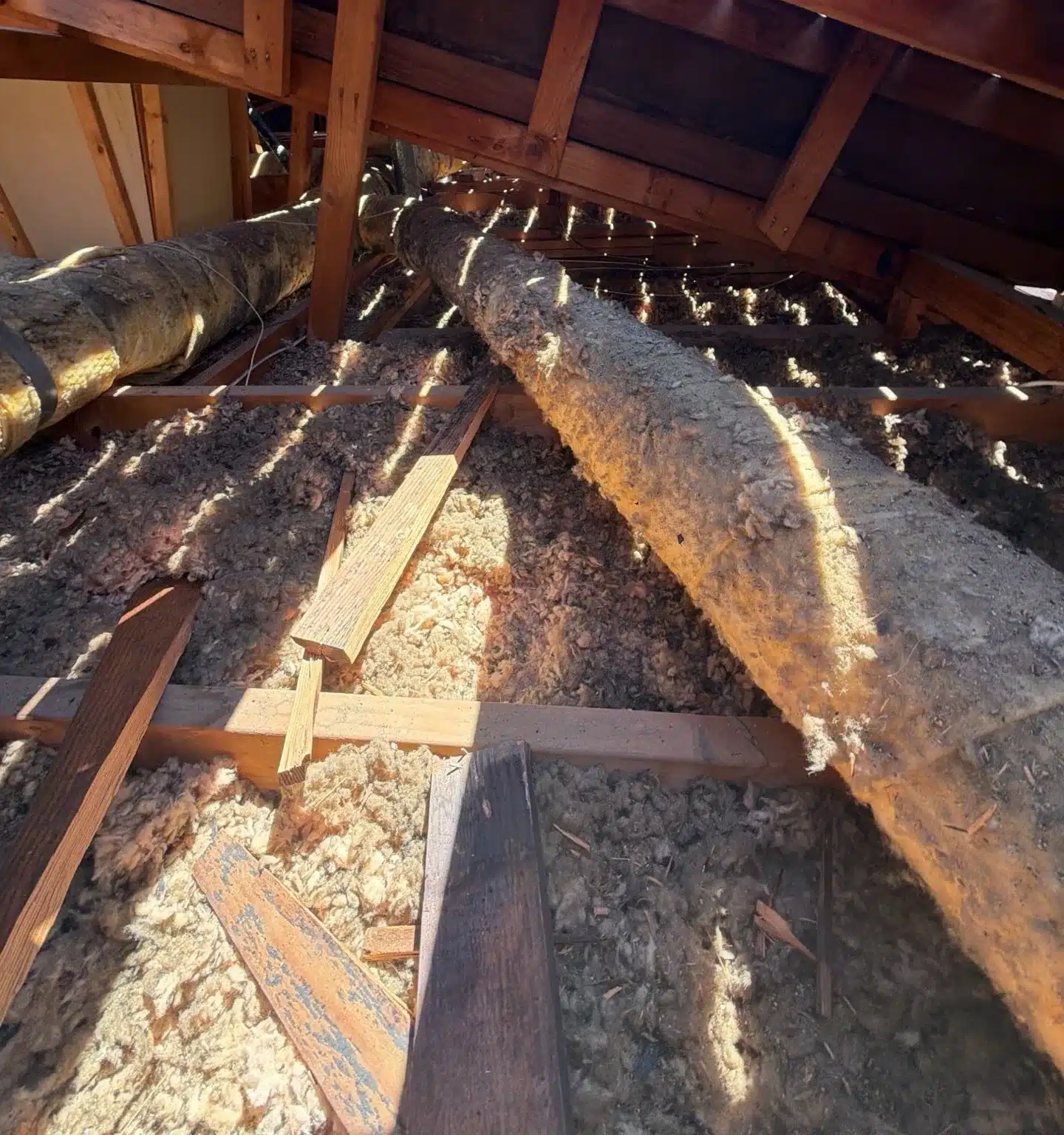 Daylight showing through the gaps in the old plank roof deck onto the attic insulation of a San Jose home