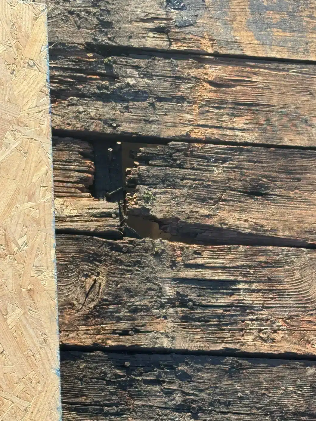 Rotten roof decking boards discovered during tear-off in Piedmont, CA