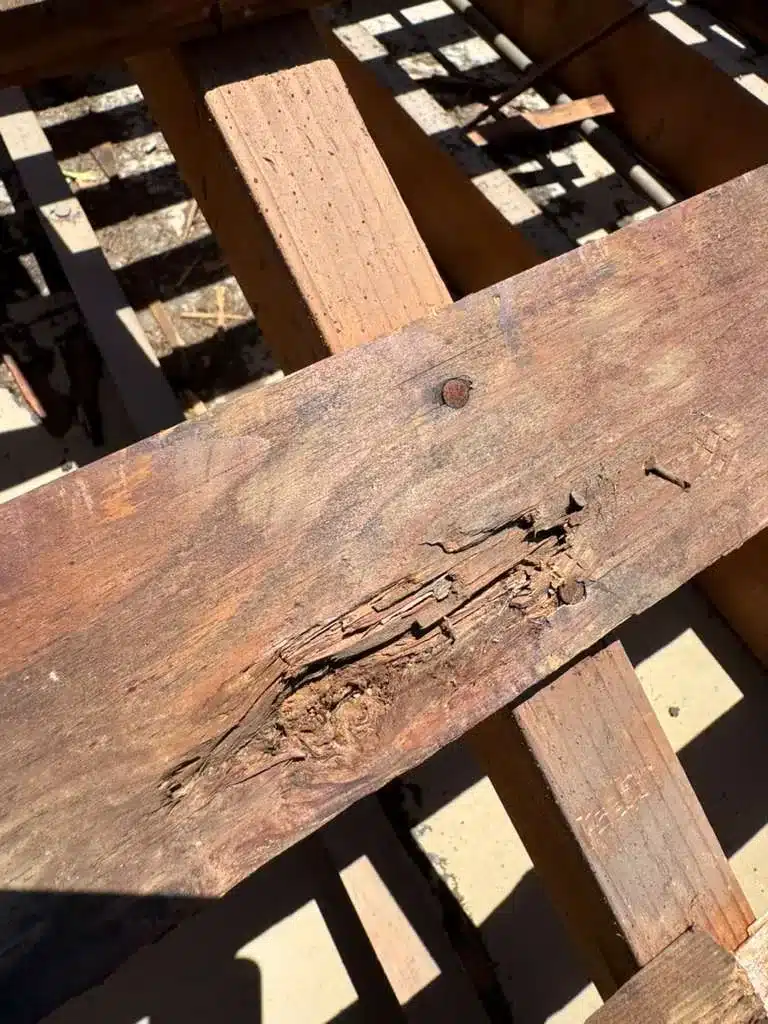 Rotted and split original decking boards over open skip sheathing at 2168 Forbes Avenue, Santa Clara CA