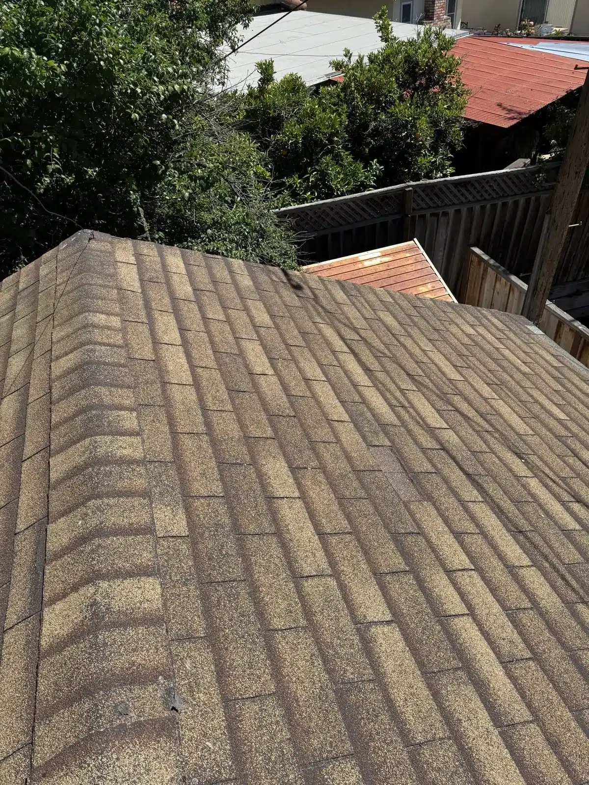 Close view of granule-worn three-tab shingles with exposed mat at 2168 Forbes Avenue, Santa Clara CA