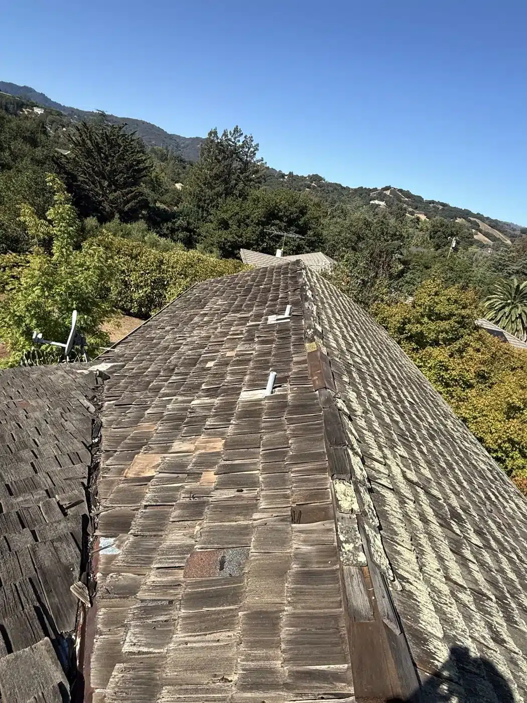 Weathered cedar shake roof ridge on a hillside home before replacement in Saratoga, CA