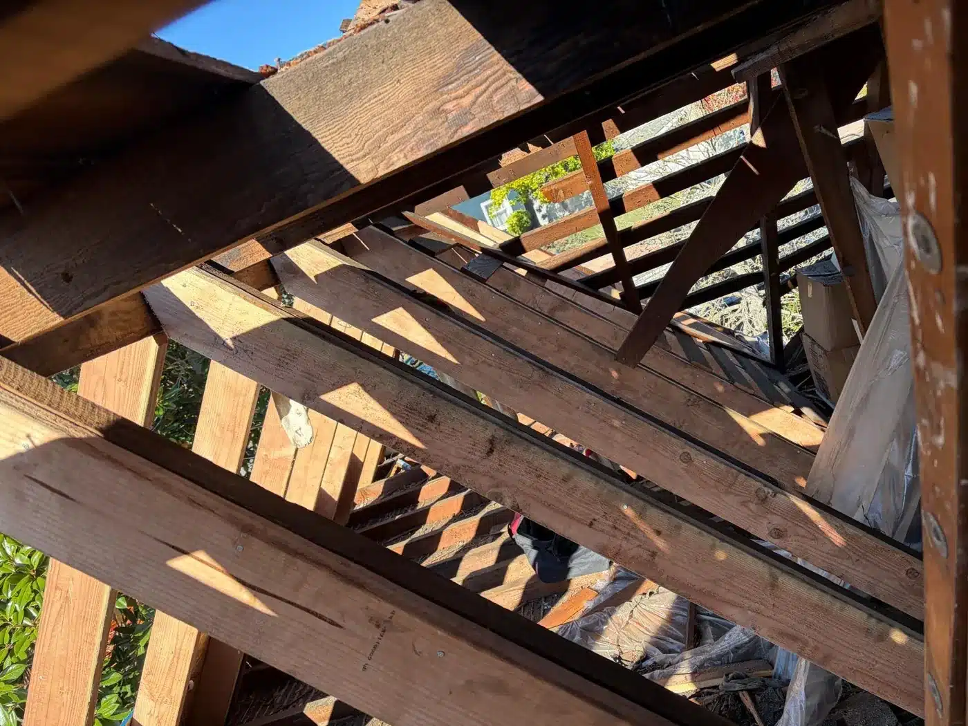 Interior view of sistered rafters against the original hundred-year-old framing in Piedmont, CA