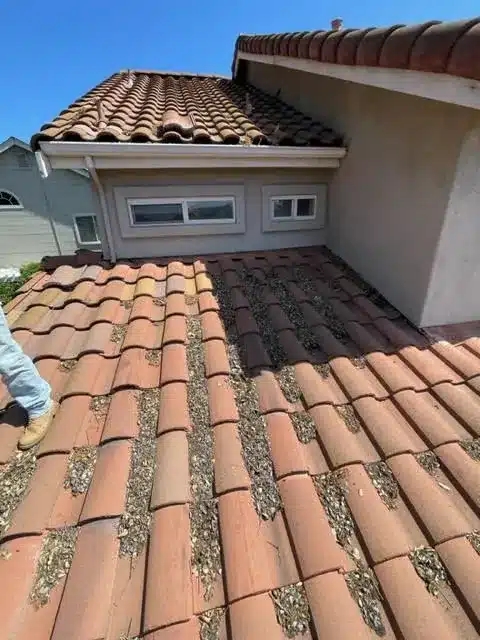 Cracked and shifted S-tiles before repair on Barrett Avenue in Morgan Hill