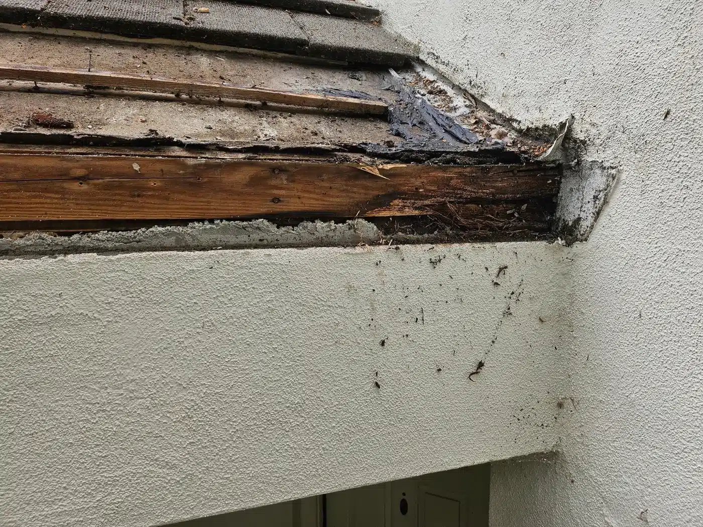 Rotted fascia board at the eave beneath a concrete tile roof on a Vallejo townhome
