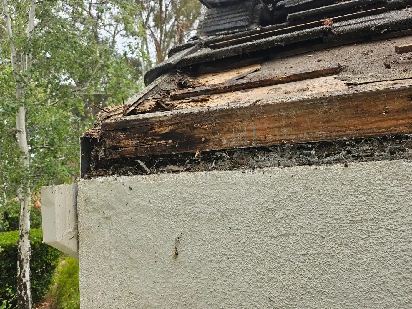 Rotted rafter tail exposed at the eave of a tile roof in a Vallejo HOA