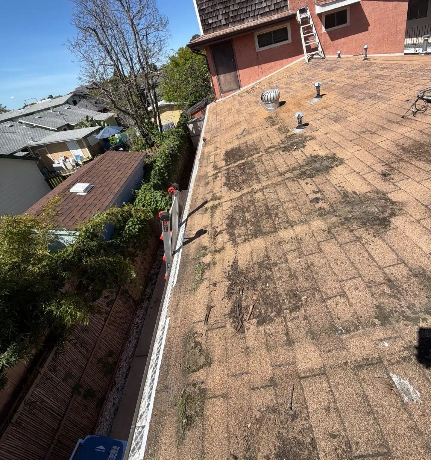 Worn, granule-stripped three-tab shingles on the Berkeley roof section before replacement