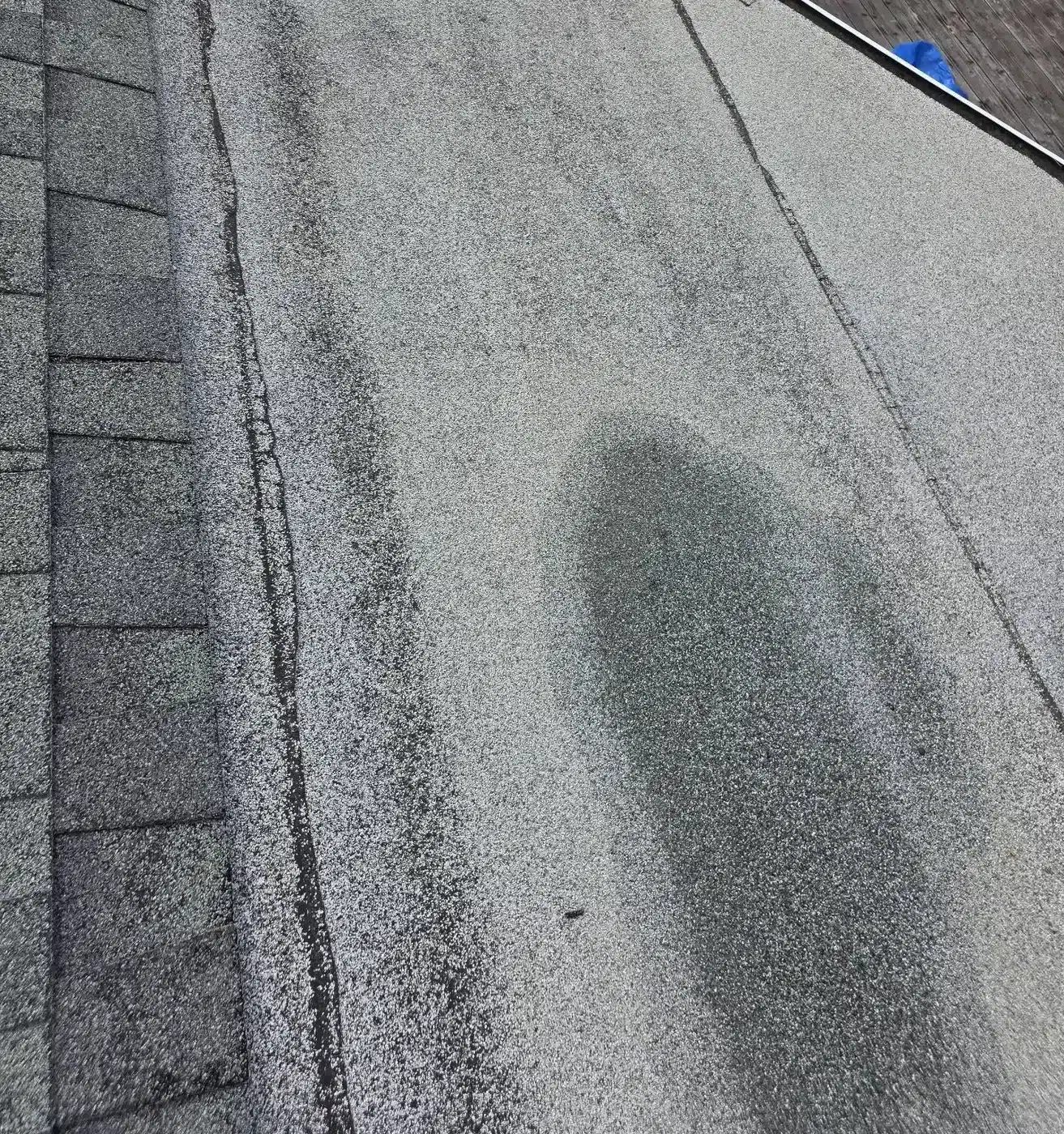 Dark ponding stain on the low-slope section of the old roof before replacement in San Rafael