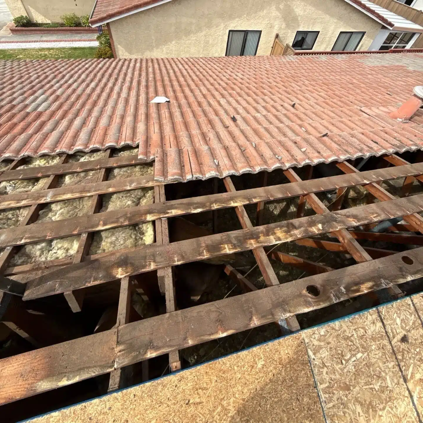 Original spaced sheathing exposed under lifted concrete tile on a San Mateo roof, with new plywood going down beside it